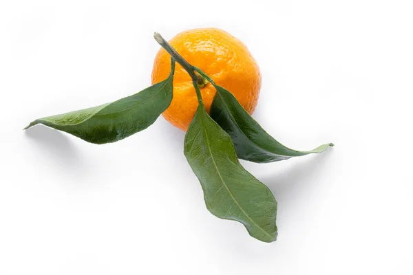 Citrinos tangerina com folha verde isolada sobre branco — Fotografia de Stock