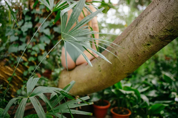 Visão traseira na mulher sentada na árvore na floresta tropical — Fotografia de Stock