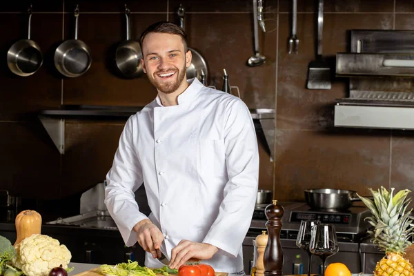 Retrato de chef sonriente positivo en la cocina — Foto de Stock