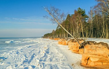 Letonya 'daki güzel doğa manzarası - Vidzeme sahili plajı, Veczemju kayalıkları