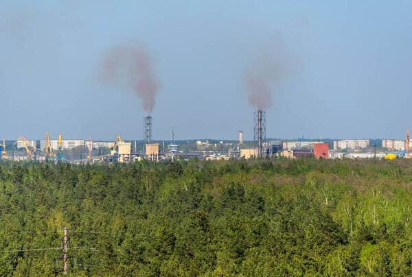 Pine forest and two factory chimneys emitting smoke (concept of green nature versus industrial pollution and global warming)