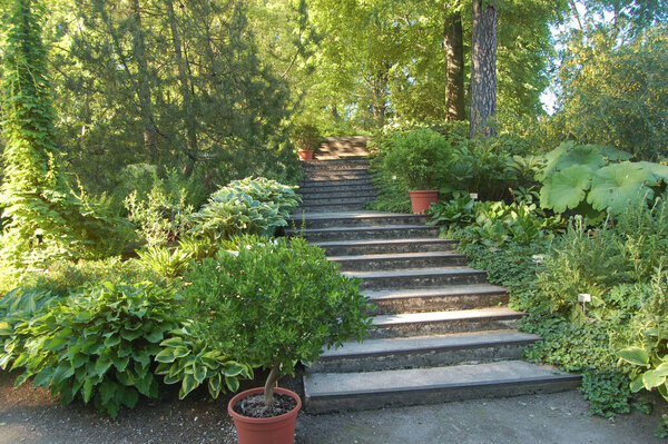 Plants and blooming flowers in Tartu botanical garden, Estonia
