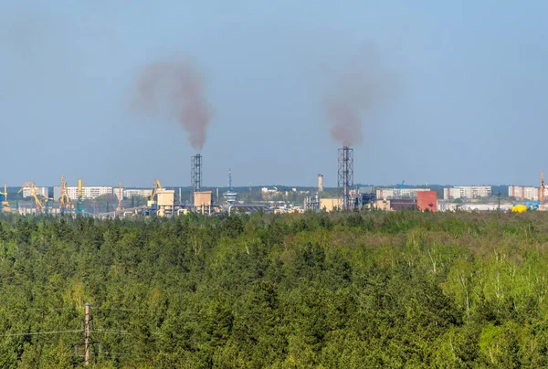 Borový Les Dva Tovární Komíny Vypouštějící Kouř Koncept Zelené Přírody Stock Snímky