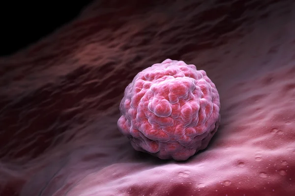 Embriyonik kök hücre — Stok fotoğraf