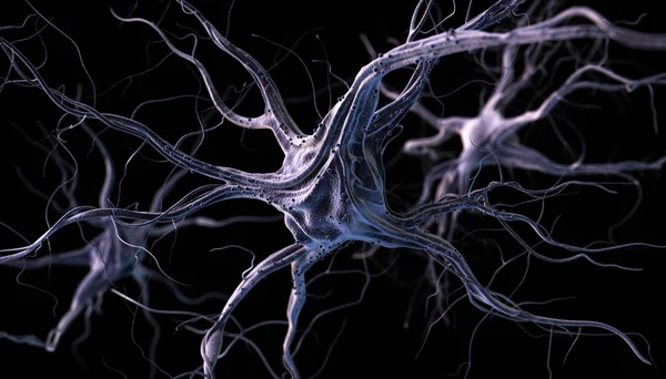 Neurônios cerebrais realistas — Fotografia de Stock