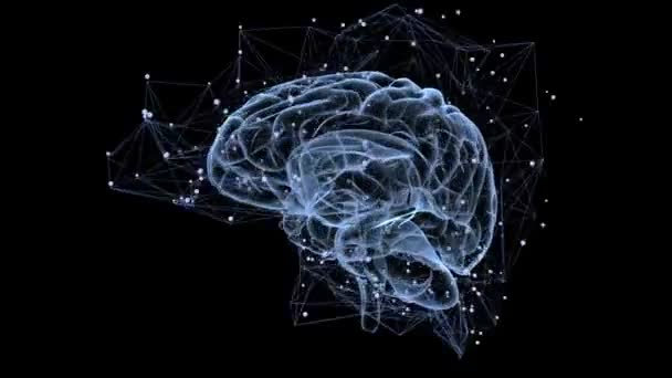 Nöronal bağlantıları kavramı — Stok video