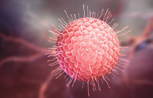 Varicella zoster-virus — Stockfoto