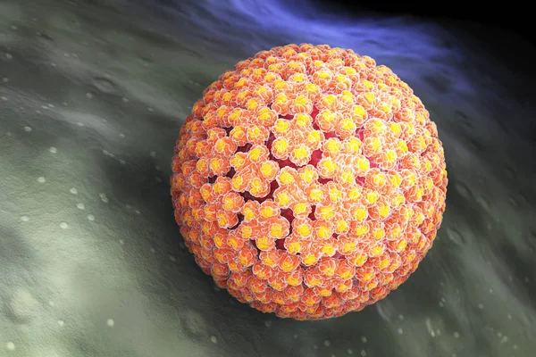 Papilloma Virus. HPV — Stock Photo, Image