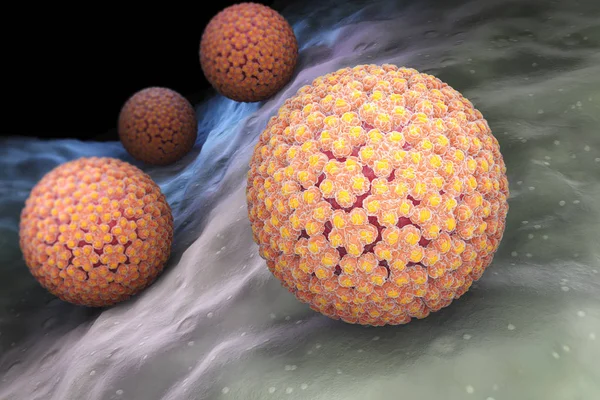 Wirus brodawczaka. HPV — Zdjęcie stockowe
