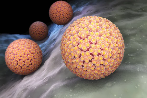 Papillomvirus. HPV — Stockfoto