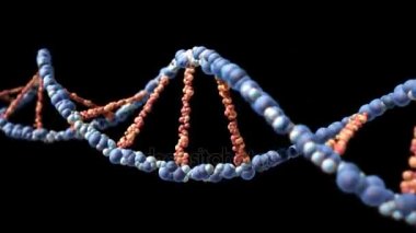 DNA iplikçikleri ayrı elemanlar monte edilir.