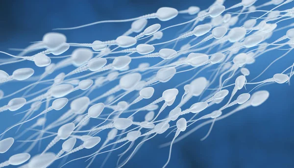 Human sperm flow — Stock Photo, Image