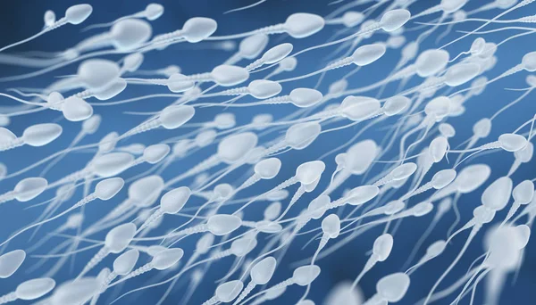 Human sperm flow — Stock Photo, Image