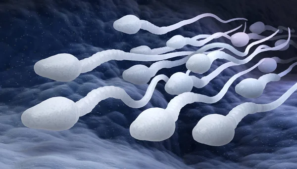 Männliche Spermien — Stockfoto