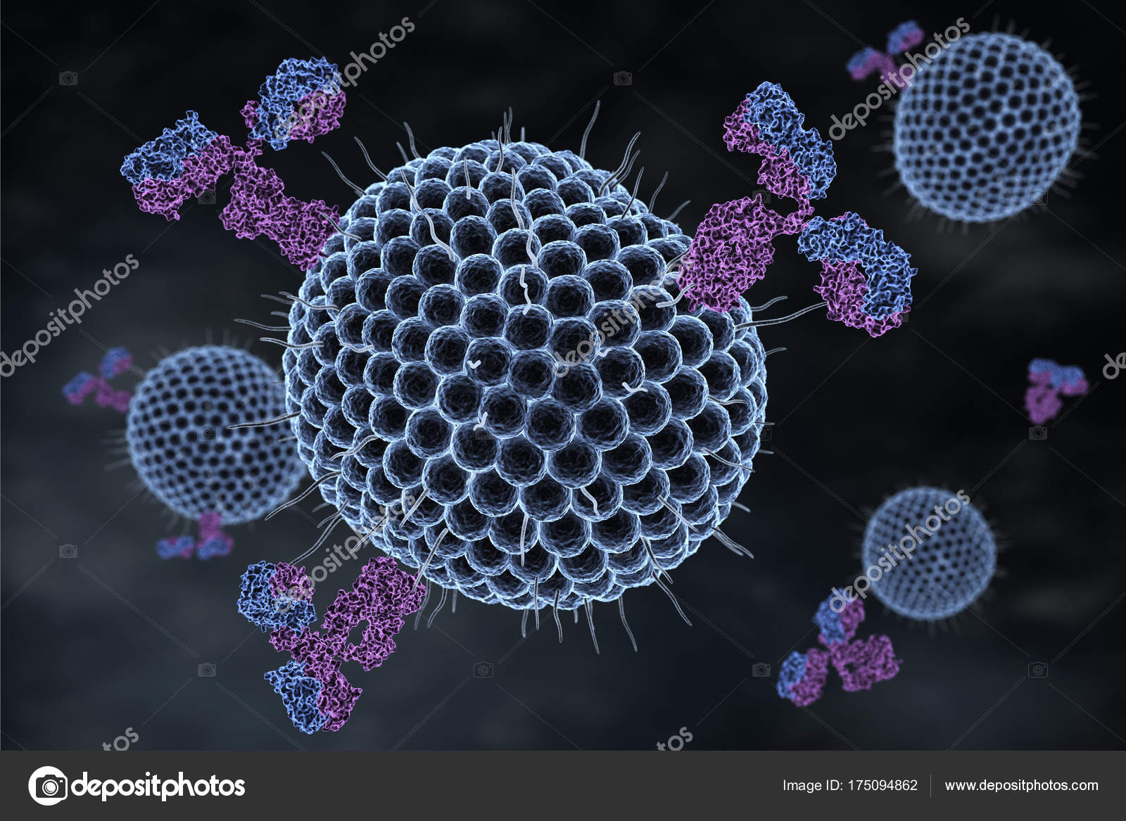 Herpes viruses and antibodies — Stock Photo © iLexx 175094862