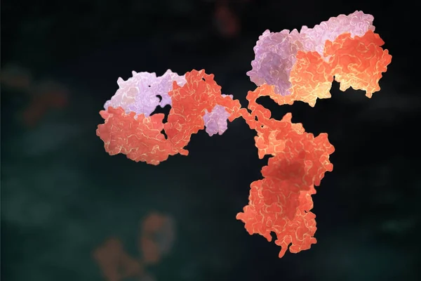 人抗体 (免疫球蛋白) — 图库照片