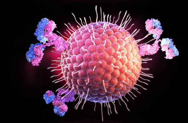 Herpes virus and antibodies — Stock Photo, Image