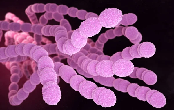 肺炎链球菌 Streptococcus Pneumoniae 或称肺炎球菌 是革兰氏阳性球菌 是一种致病菌 除了引起肺炎外 还引起许多类型的肺炎球菌感染 3D插图 — 图库照片