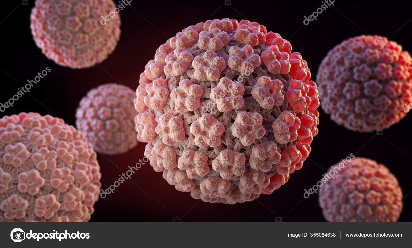Human papillomavirus family
