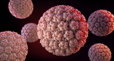İnsan Papilloma Virus (Hpv) Papilloma virüsü aileden bir Dna virüsüdür. 3D çizim