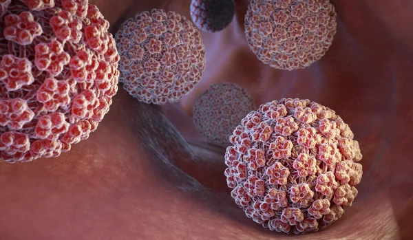 İnsan Papilloma Virus (Hpv) Papilloma virüsü aileden bir Dna virüsüdür. 3D çizim