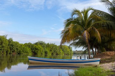 Köy teknesi ve küçük hindistan cevizi ağacı. Nehir kıyısında. Huzur, huzur ve sükunet kavramı.