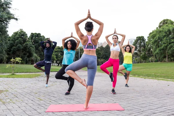 Yoga Kurse Freien Mit Multiethnischen Gruppen Mit Unterschiedlichen Körperlichen Formen — Stockfoto