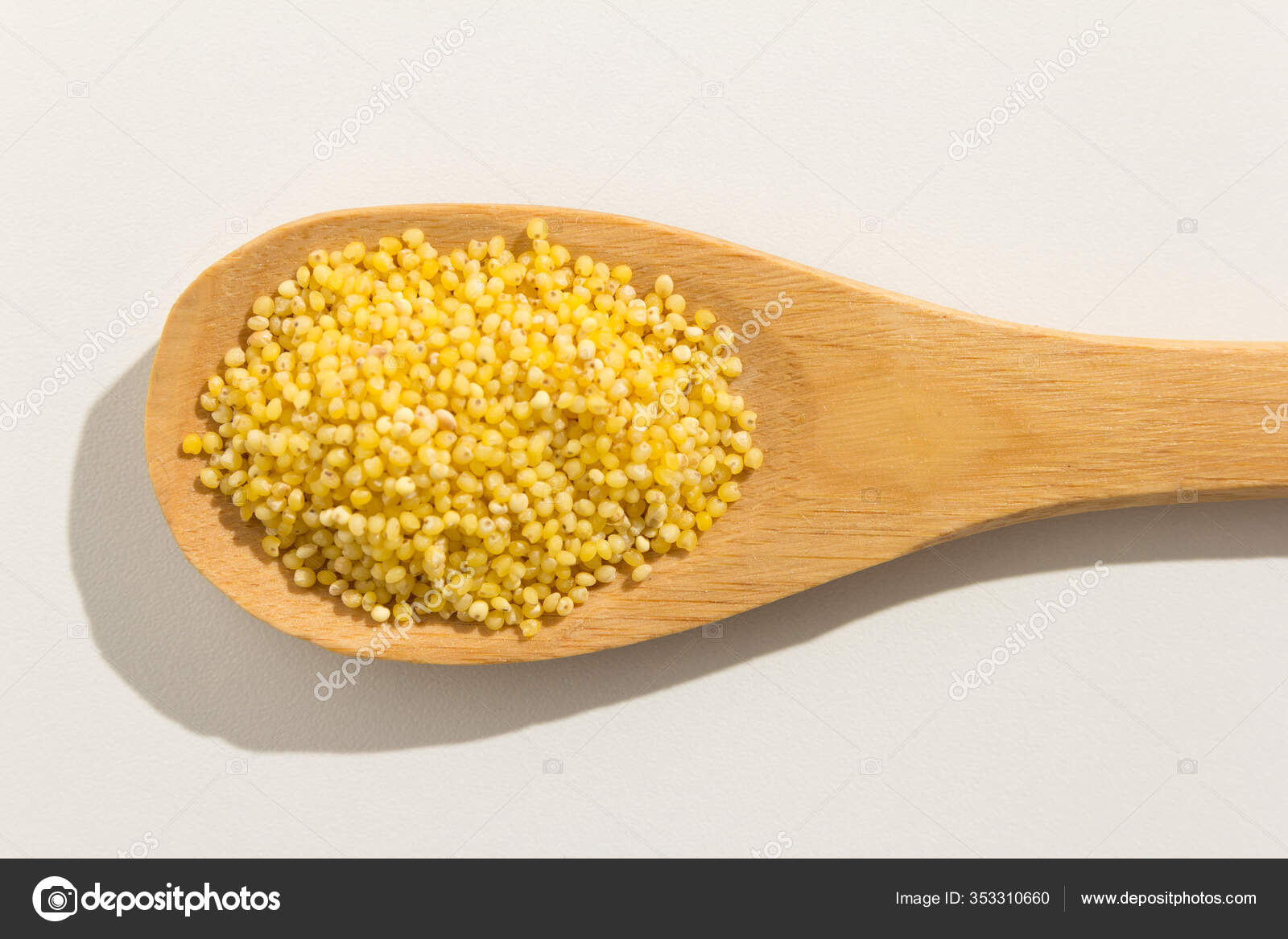 Panicum Miliaceum Nombre Científico Del Grano Cereal Proso Millet También — Foto de stock