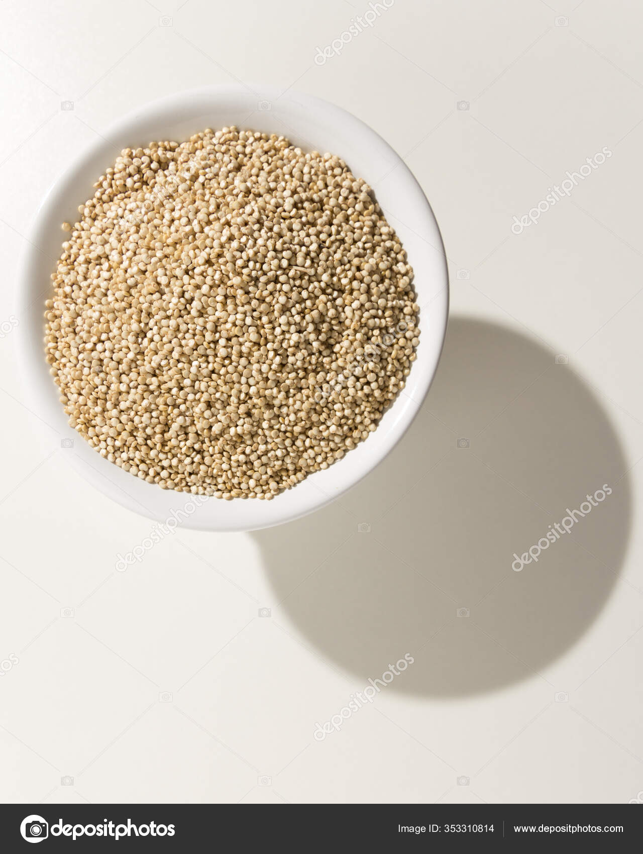 Chenopodium Quinoa Scientific Name Golden Quinoa Seed Grains Bowl