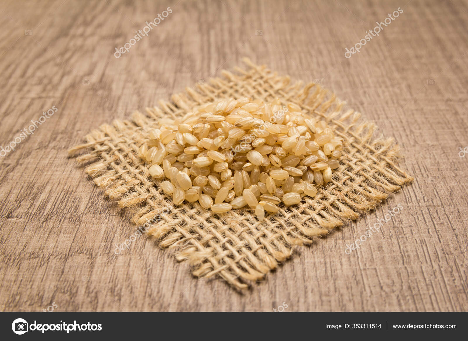 Oryza Sativa Scientific Name Whole Short Grain Rice Seed Also Stock Photo Image By C Verganifotografia 353311514