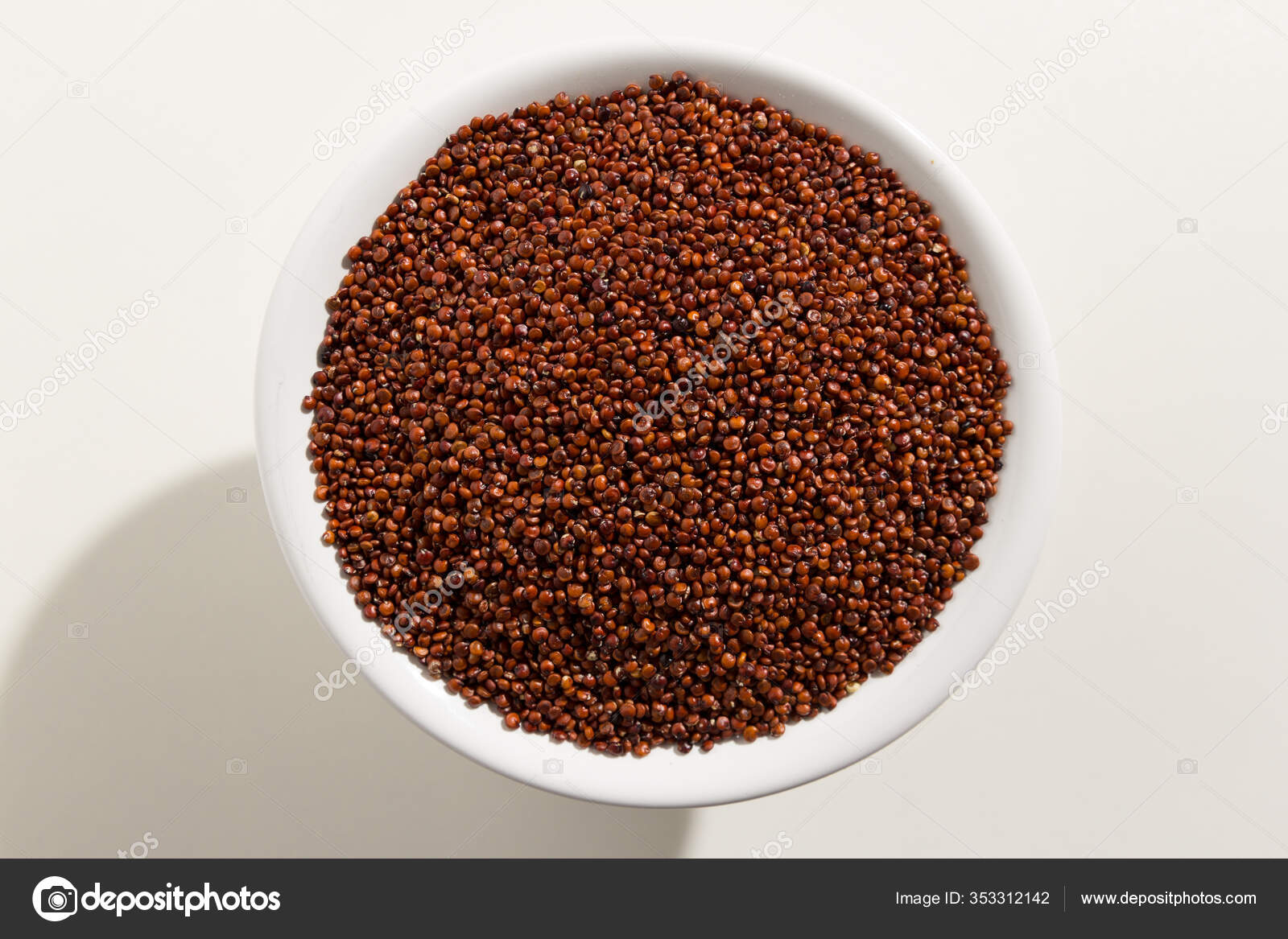 Chenopodium Quinoa Scientific Name Red Quinoa Seed Top View Grains