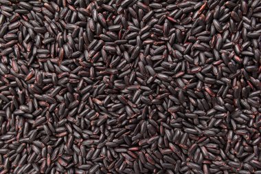 Oryza sativa, Black Rice tohumunun bilimsel adıdır. Ayrıca Arroz Negro (Portekizce) olarak da bilinir. Tahılların kapatılması, arkaplan kullanımı.