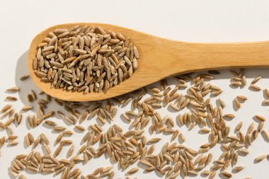 Secale mısır gevreği, Çavdar gevreğinin bilimsel adıdır. Ayrıca Centeio (Portekizce) ve Centeno (İspanyolca) olarak da bilinir. Tahta kaşıkta sağlıklı taneler. Beyaz arkaplan.