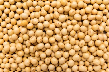 Glicine Max, soya fasulyesi baklasının bilimsel adıdır. Soya Bean ve Soja olarak da bilinir. Tahılların kapatılması, arkaplan kullanımı.