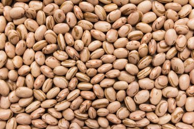 Phaseolus vulgaris Pinto fasulye baklagil bilimsel adıdır. Frijol Pinto ve Feijao Carioca olarak da bilinir. Closeup tahıl, arka plan kullan.