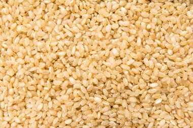 Oryza sativa, tüm Short Grain Rice Seed 'in bilimsel adıdır. Sushi Rice ve Arroz Cateto Integral (Portekizce) olarak da bilinir. Tahılların kapatılması, arkaplan kullanımı.