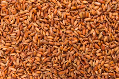 Oryza sativa, Bhutanese Red Rice tohumunun bilimsel adıdır. Ayrıca Arroz Vemelho (Portekizce) olarak da bilinir. Tahılların kapatılması, arkaplan kullanımı.