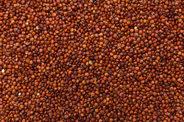 Chenopodium kinoa, Kırmızı kinoa tohumunun bilimsel adıdır. Tahılların kapatılması, arkaplan kullanımı.