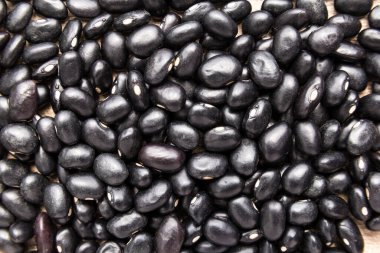 Phaseolus vulgaris, Siyah Kaplumbağa Fasulye Baklagil 'in bilimsel adıdır. Frijoles Negros ve Feijao Preto olarak da bilinir. Tahılların kapatılması, arkaplan kullanımı.