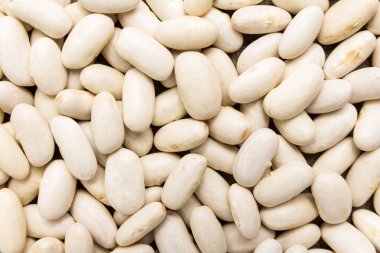 Fahseolus vulgaris, Şeker Fasulyesi baklasının bilimsel adıdır. Feijao Rajado ya da Frijol Canaval.Haricot, Pearl Bean ve Feijao Branco olarak da bilinir. Tahılların kapatılması, arkaplan kullanımı.