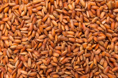 Oryza sativa, Bhutanese Red Rice tohumunun bilimsel adıdır. Ayrıca Arroz Vemelho (Portekizce) olarak da bilinir. Tahılların kapatılması, arkaplan kullanımı.