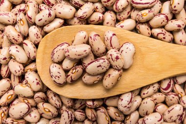 Fahseolus vulgaris, Şeker Fasulyesi baklasının bilimsel adıdır. Feijao Rajado ya da Frijol Canaval olarak da bilinir. Tahta kaşıkta tahıllar. Kapat..