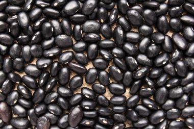 Phaseolus vulgaris, Siyah Kaplumbağa Fasulye Baklagil 'in bilimsel adıdır. Frijoles Negros ve Feijao Preto olarak da bilinir. Tahılların kapatılması, arkaplan kullanımı.