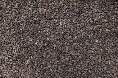 Sesamum radiatum, Benniseed 'in bilimsel adıdır. Ayrıca Siyah Susam, Gergelim Preto (Portekizce) ve Susamo Negro (İspanyolca) olarak da bilinir..