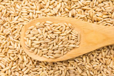 Avena Sativa, Yulaf gevreğinin bilimsel adıdır. Aveia ya da Avena olarak da bilinir. Tahta kaşıkta tahıllar. Kapat..