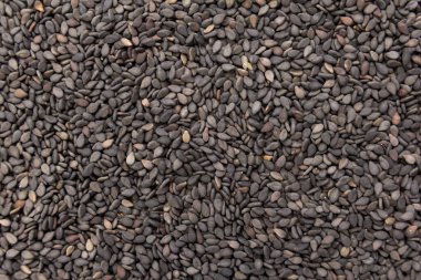 Sesamum radiatum, Benniseed 'in bilimsel adıdır. Ayrıca Black Susame, Gergelim Preto (Portekizce) ve Susamo Negro (İspanyolca) olarak da bilinir. Tahılların kapatılması, arkaplan kullanımı.