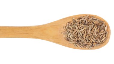 Secale mısır gevreği, Çavdar gevreğinin bilimsel adıdır. Ayrıca Centeio (Portekizce) ve Centeno (İspanyolca) olarak da bilinir. Tahta bambu kaşığı üzerinde tahıllar. Beyaz arkaplan.