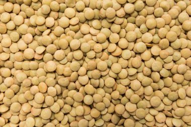 Lens Culinaris, bilimsel adı Mercimek Baklava. Lentilha Canadense (Portekizce) ya da Lentejas (İspanyolca) olarak da bilinir. Tahılların kapatılması, arkaplan kullanımı.