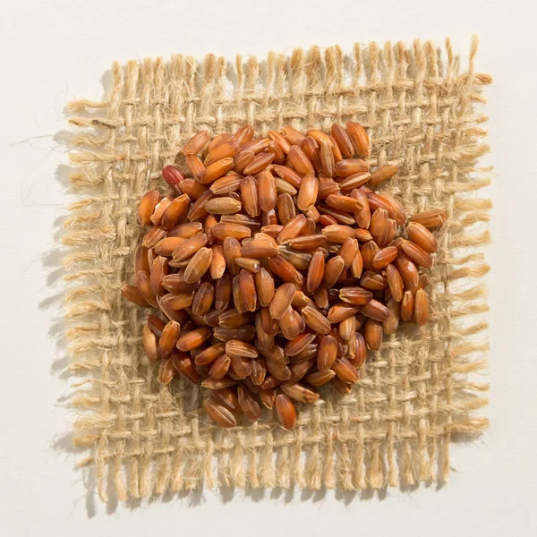 Oryza Sativa Scientific Name Bhutanese Red Rice Seed Also Known — Stock Photo, Image