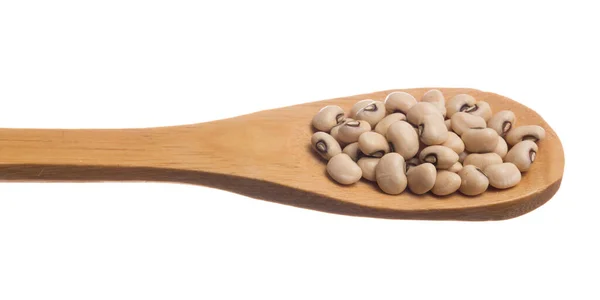 Vigna Unguiculata Wetenschappelijke Naam Van Black Eyed Pea Legume Ook — Stockfoto